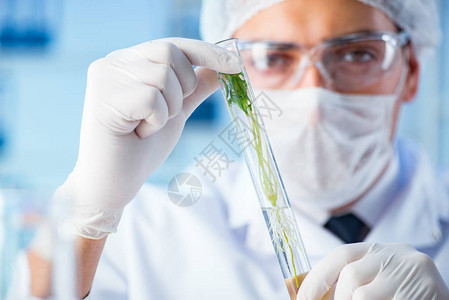 实验室科学家的生物技术概图片