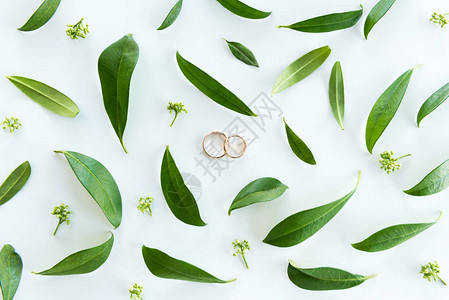 带金戒指和绿叶婚戒背景的美丽婚礼组合图片