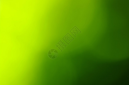 绿色bokeh图片
