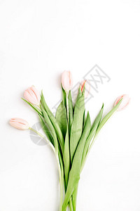 粉红色的郁金香花束在白色背景上图片