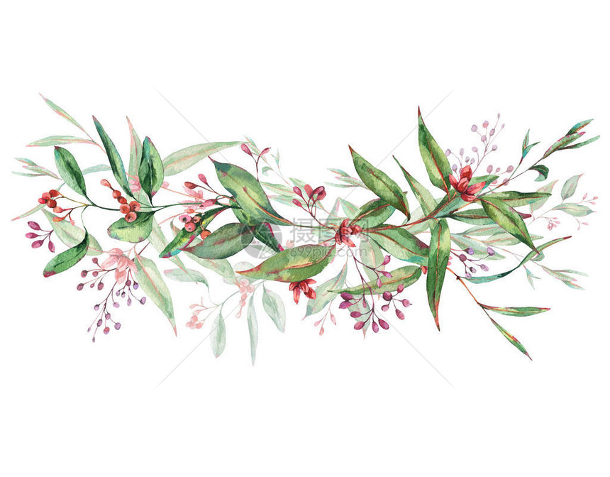 水彩花纹EucalyptusWreath自然框架婚礼邀请温水彩色贺卡白种背景孤图片