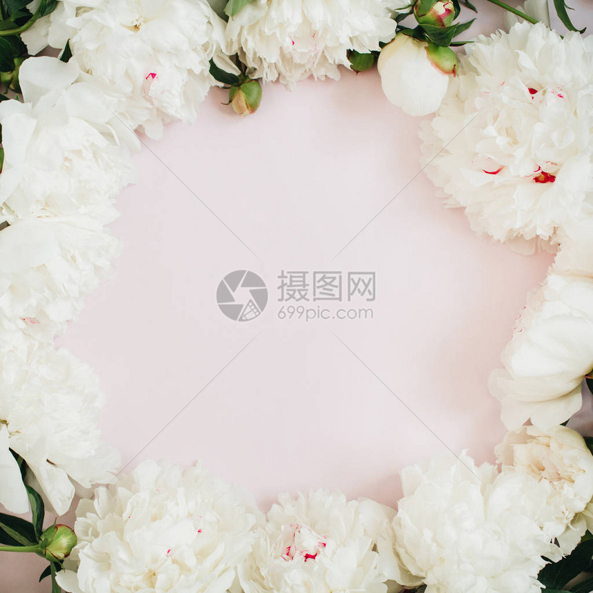 白牡丹花枝叶和花瓣的框架花环图片