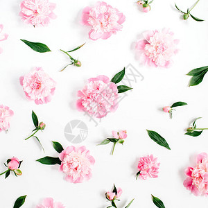 白色背景上粉红色牡丹花枝叶和花瓣的花卉图案图片