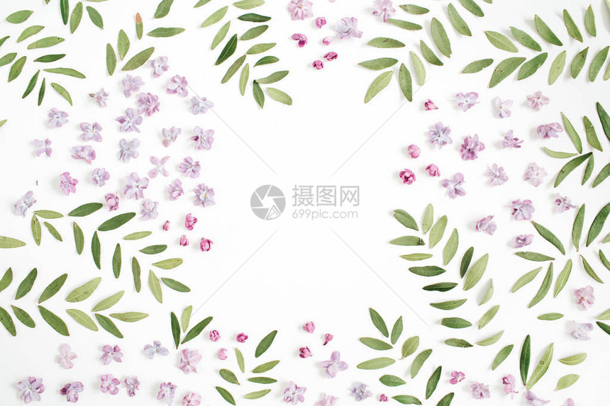 Lilac花瓣框架绿色树叶和白色背景文字空间的绿叶平面图片