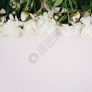 由白色牡丹绿叶白色背景上的树枝制成的花卉图案图片