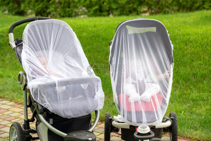 两个婴儿在婴儿车上行走时覆盖着防护网带防蚊白色罩的婴儿车在户外步行季节为儿童图片