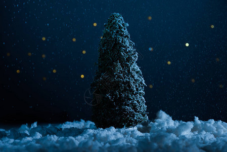近距离拍摄的小型圣诞树在夜图片