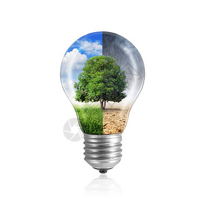 灯泡与树和不断变化的环境气图片