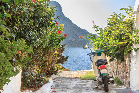 希腊卡林诺斯岛的绿色小摩托车和盛开的木图片