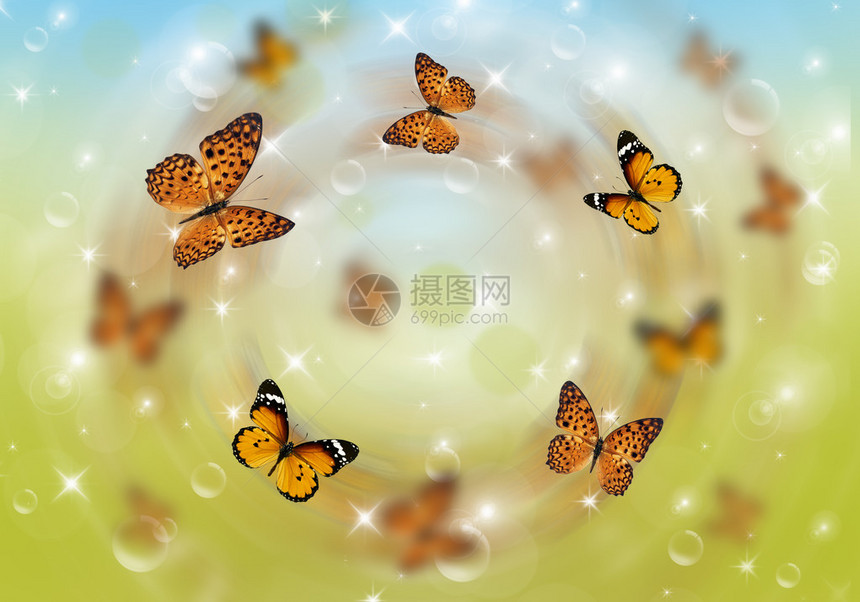 许多蝴蝶飞过绿草地夏图片