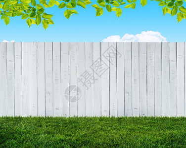 白花园围栏背景图片