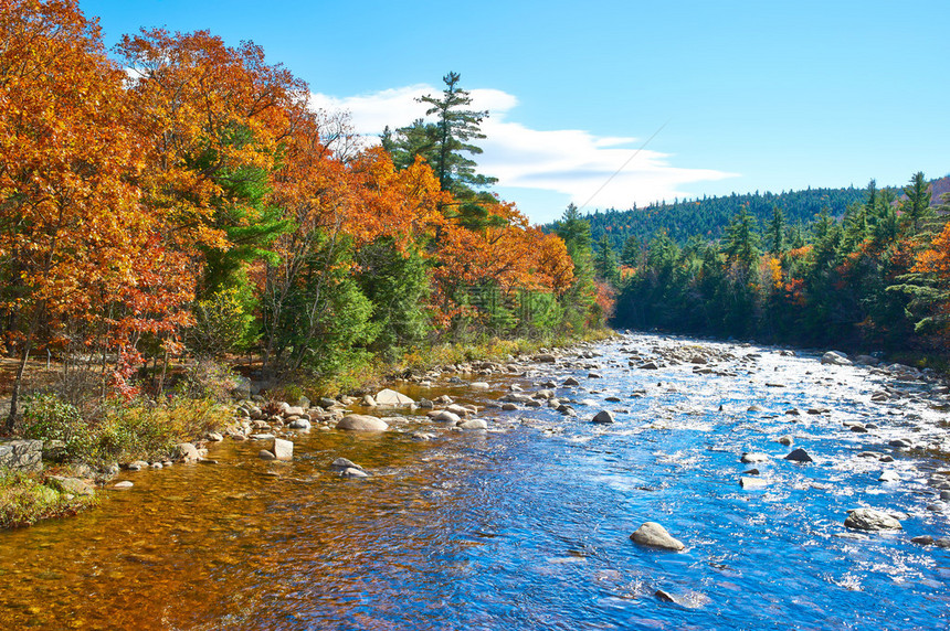秋天在美国新罕布什尔州白山森林的斯威夫特河Swift图片