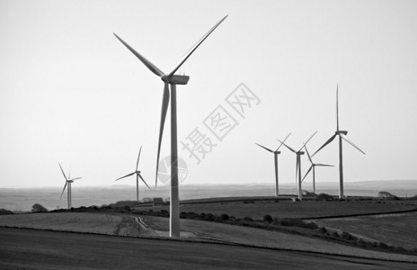 风力涡轮机领域在黑白的图片