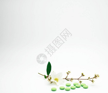 绿色维他命和补充药片配有鲜花和白底分枝图片