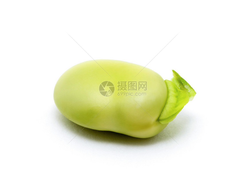 一粒绿蚕豆的宏图片