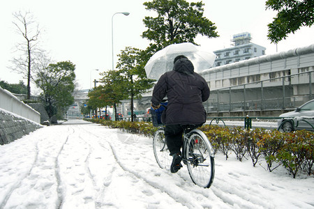 2008年日本东京街头潮湿雪下骑图片