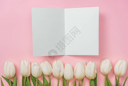 白色空白贺卡和粉红背景的背景图片