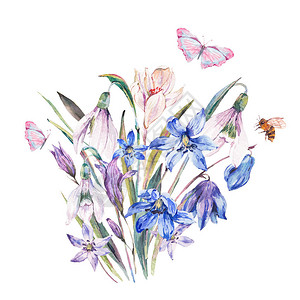 莲科草本植物复古水彩春卡与蓝色野花盛开的雪花莲scilla叶子草药蝴蝶和蜜蜂插画