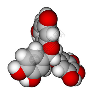 生物活性肽最优化的中子氯胆化物分子模型设计图片