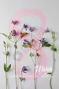 白色背景紫罗兰花的顶视图妇女节插图图片