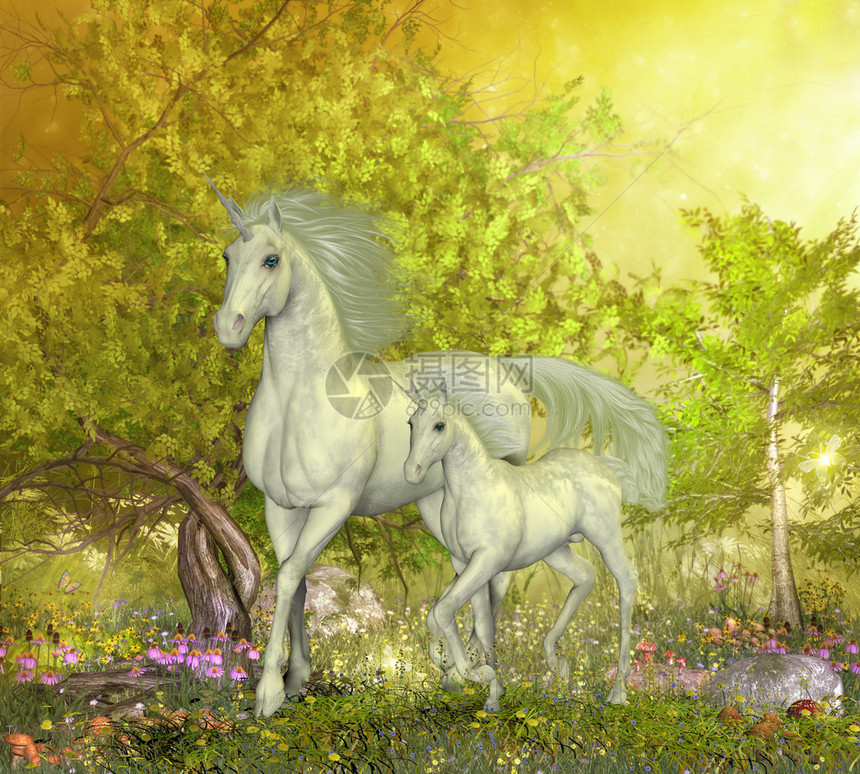 一只白色的独角兽母亲领着她的小马穿过充满春图片