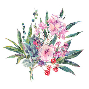 古典复古花卉贺卡水苏黑莓热带和野花的水彩花束图片