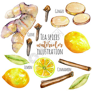 食品茶具主图一套水彩姜柠檬和香料元素手漆插画