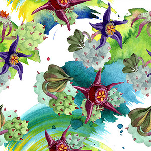 杜瓦利亚花水彩背景插图水彩画手绘肉质植物无缝背景图案织物图片