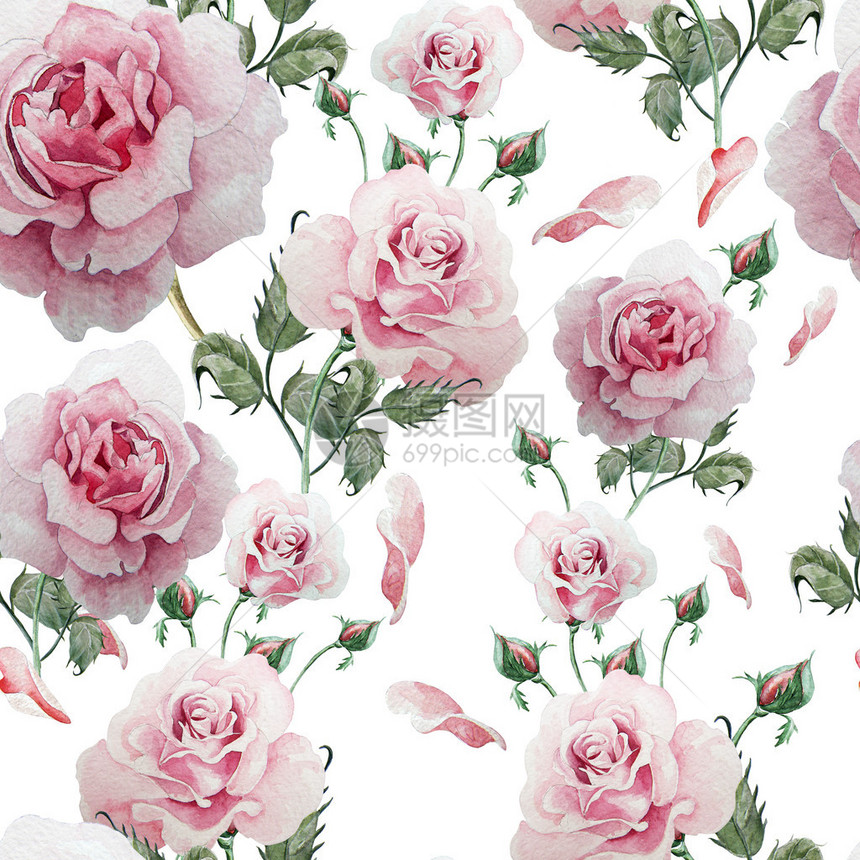 无缝图案与水彩花玫瑰手绘图片