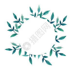 带有绿色叶子的模板圆形花卉框架手绘水彩植物标签用于贺卡天然化妆图片
