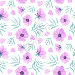 粉红色花朵花瓣和叶子水彩手痛的插图白背景图片