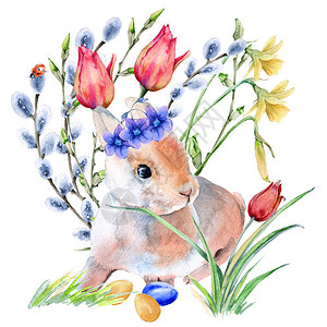 有复活节的花朵中的复活节兔子白底被图片