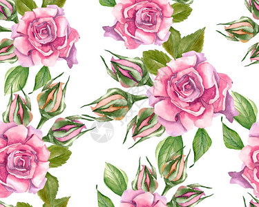 粉红玫瑰和叶子涂在背景图片