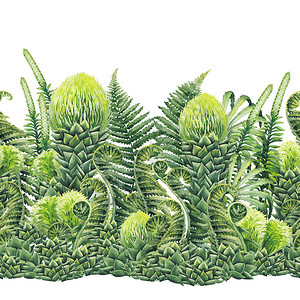 西索尼亚水彩史前植物手绘无缝异国边框插画