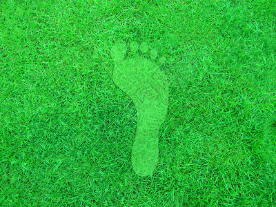说明草原背景的绿色足迹图片