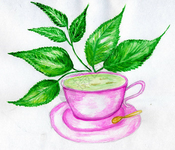 一杯绿茶叶子手绘水彩插图图片