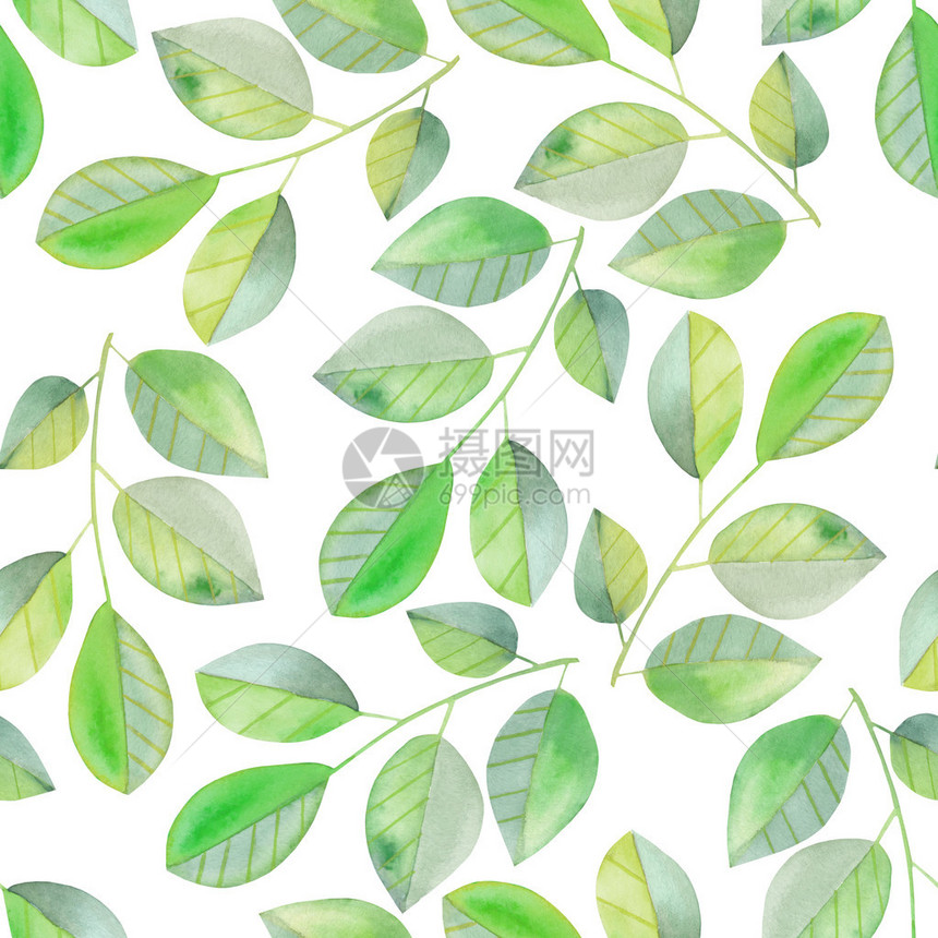 与含绿色叶子的水彩色树枝的无缝图案图片