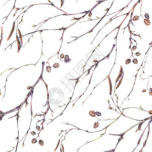泉水颜色植物无缝模式树枝和树枝白色背景上的自然图示Name图片