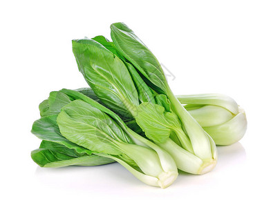 Bokchoy卷心菜在图片