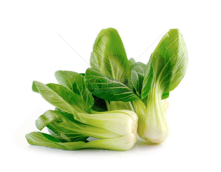 Bokchoy卷心菜在图片