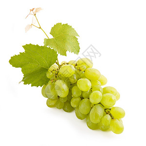 新鲜的一串绿色葡萄被白色隔离图片