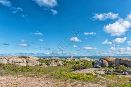 博斯普兰海景灰色的高清图片