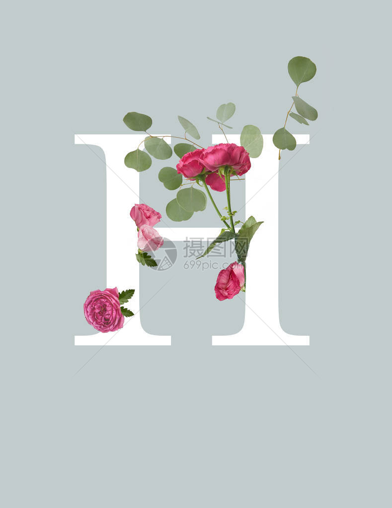 白字母H有粉红玫瑰和绿图片