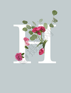 白字母H有粉红玫瑰和绿图片