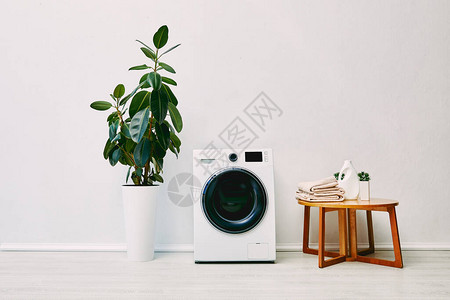 现代洗衣机附近的绿色植物浴室里有毛巾和洗涤图片