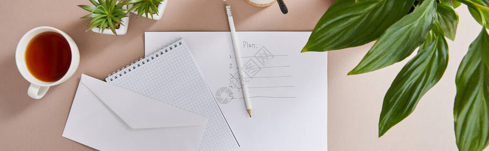 绿色植物茶杯信封空白笔记本铅笔和纸的顶视图图片
