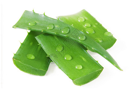 白色的清新aloevera图片