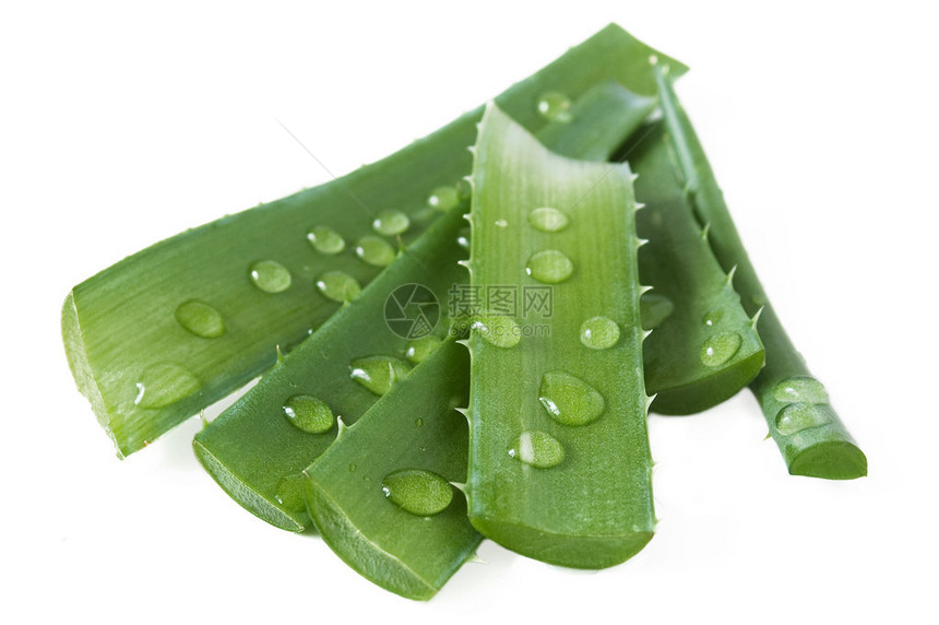 白色的清新aloevera图片