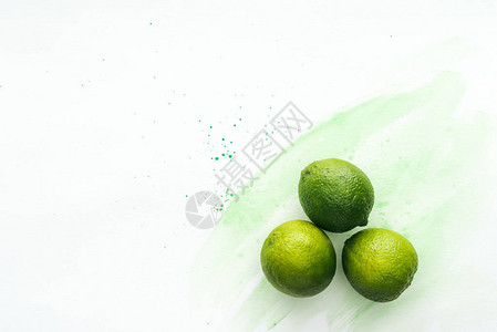 柠檬三兄弟以绿色水彩色显示白色表面三设计图片