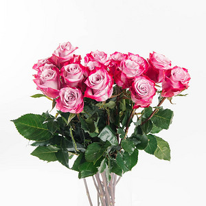 粉红玫瑰花束的美丽花束白底图片